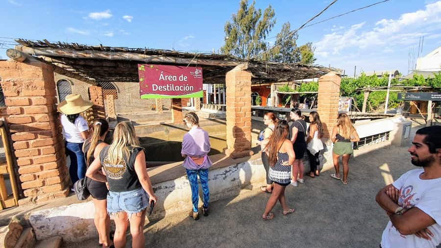 Paracas or Pisco: Private Huacachina Oasis Tour & Buggy Ride - Arriving at Huacachina Oasis