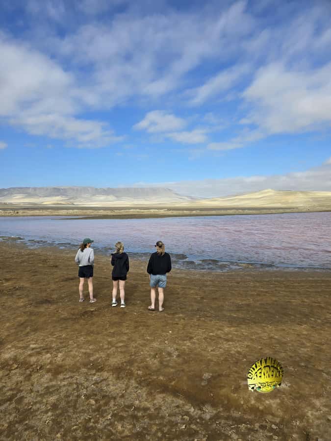 Paracas:Private Tours Paracas National Reserve all inclusive - Key points to know before you book