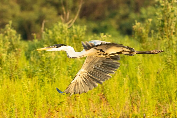 Paraguay River Nature and Wildlife Boat Tour from Asunción - Leaving Asunción for Puerto Olivares