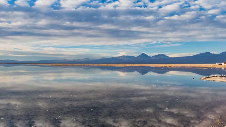Piedras Rojas, Altiplanics Lagoons & Salar Full-Day Tour - Key points to know before you book
