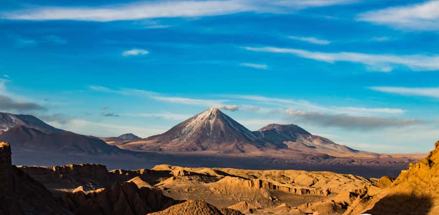 Piedras Rojas, Altiplanics Lagoons & Salar Full-Day Tour - Why this Atacama day works so well