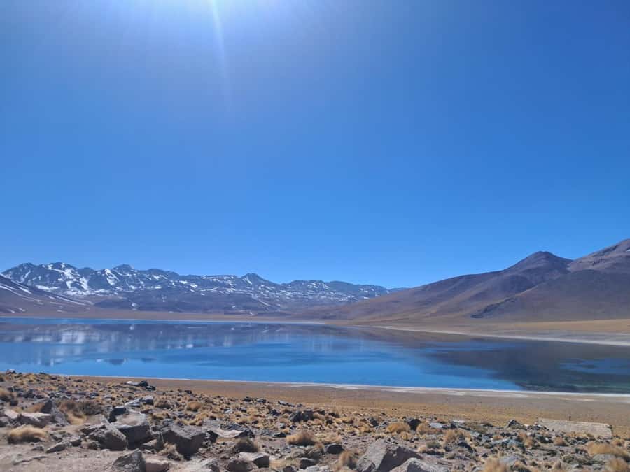 Piedras Rojas, Altiplanics Lagoons & Salar Full-Day Tour - Piedras Rojas, the purple stones of Salar de Talar