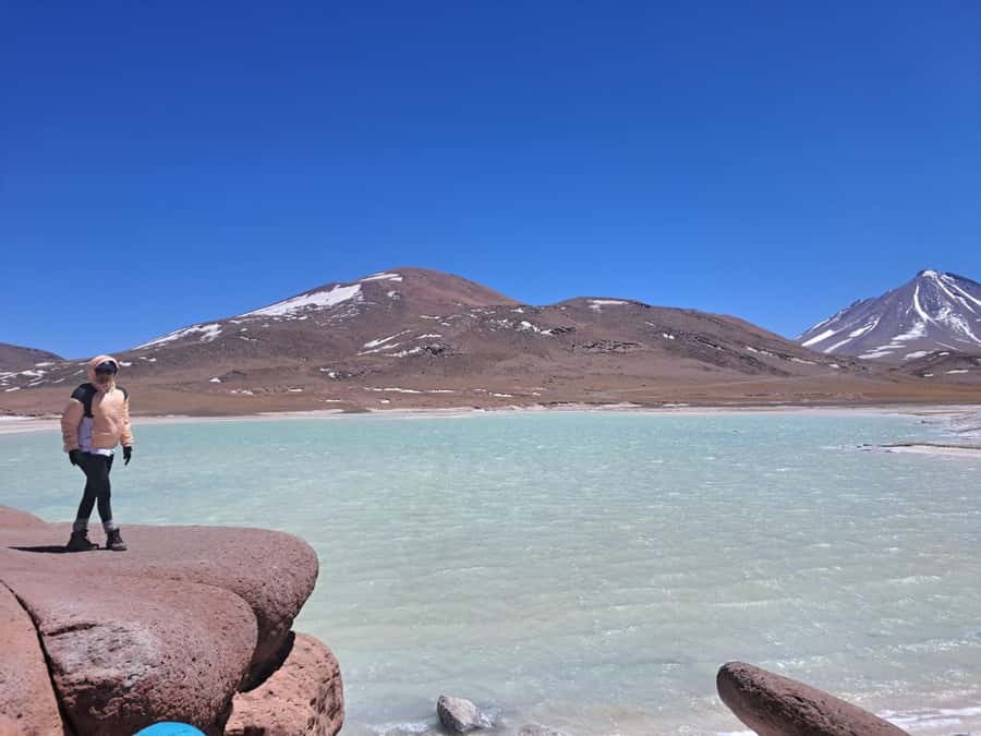 Piedras Rojas, Altiplanics Lagoons & Salar Full-Day Tour - Food, transport, and the real value of $85