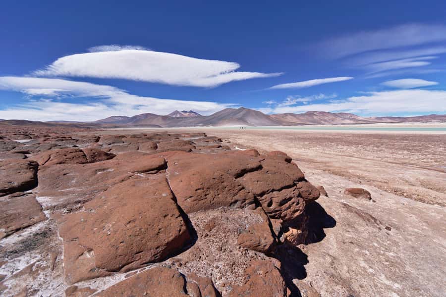Piedras Rojas, Altiplanics Lagoons & Salar Full-Day Tour - The 6:00 AM pickup and the ride into the highlands