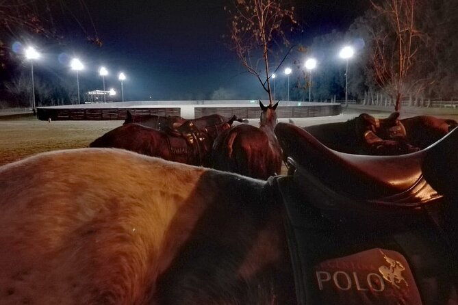 Polo Under the Stars and Argentine BBQ Evening Venue from Buenos Aires - Why night polo works so well