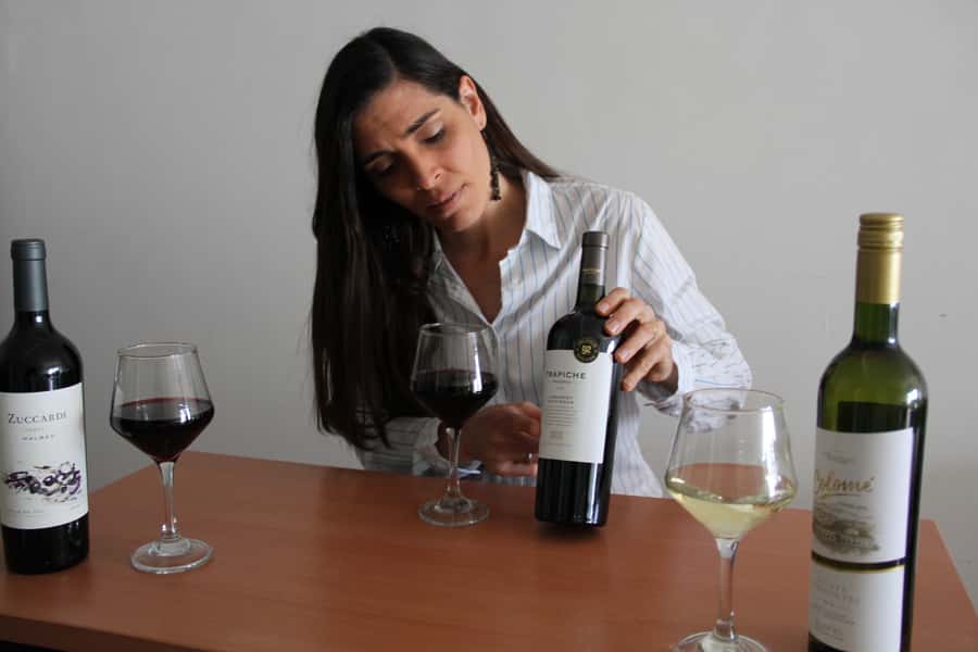 Premium Argentinian Wines and Malbec Tasting Experience - Who Will Enjoy This Most?