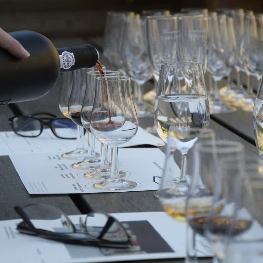 Premium Empanadas Cooking Class & Wine Tasting Experience - Should you book it?