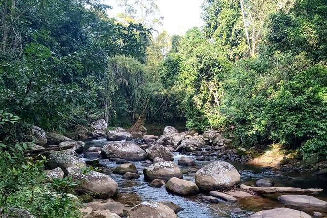 Private Bike Tour in Paraty - Key points to know before you pedal