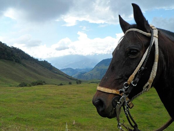 Private Coffee Tour in Jardín Antioquia - Key things to know before booking
