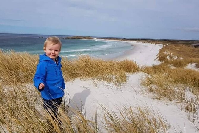 Private Penguin Paradise Tour: Penguins, Scenery & Stanley - Why Bertha’s Beach is the heart of the day