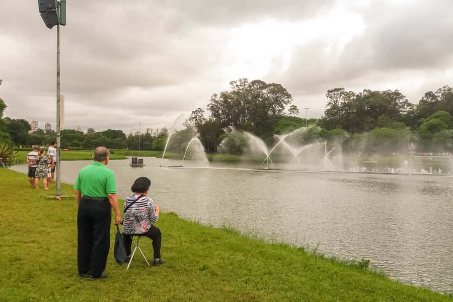 Private São Paulo City Tour - Ibirapuera Park and Pacaembu Stadium