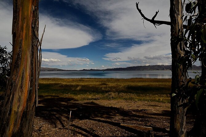 Private Tiwanaku and Titicaca Day Trip from La Paz - Lake Titicaca is the scenic payoff
