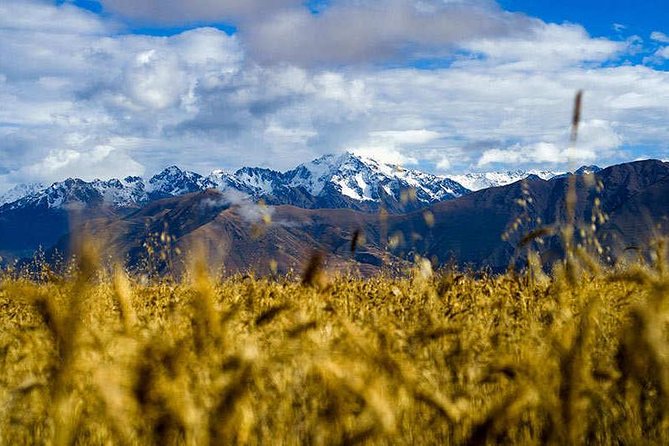 Private Tour: 2-Day Exploration of the Sacred Valley and Machu Picchu - The afternoon return and the hidden cost of waiting