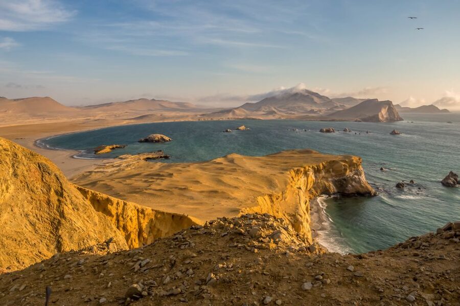 Private Tour: Ballestas Island & Huacachina Oasis, from Lima - Ica vineyards, Pisco, and the question of lunch