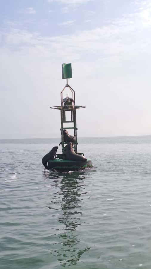 Private Tour: Ballestas Island & Huacachina Oasis, from Lima - Is $269 a fair price for a private day?