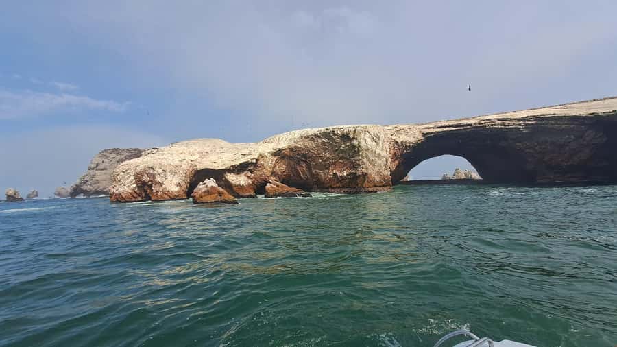 Private Tour: Ballestas Island & Huacachina Oasis, from Lima - Who will enjoy this 16-hour outing?