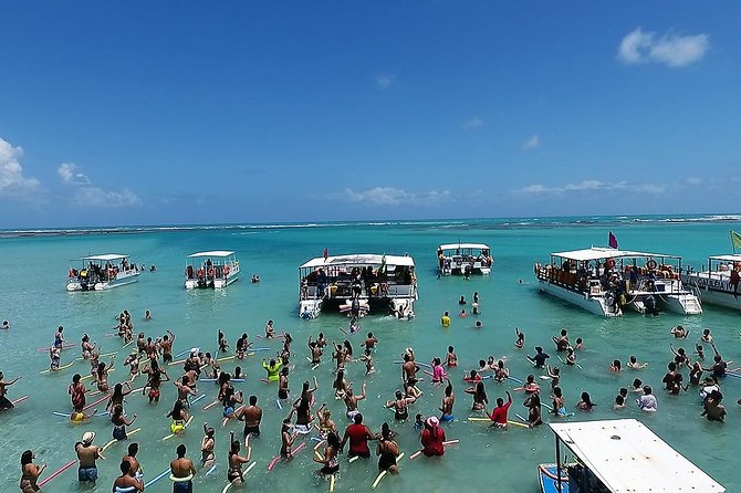 Private Transfer from Recife Airport to Maragogi - Why a private vehicle can be worth $70.57