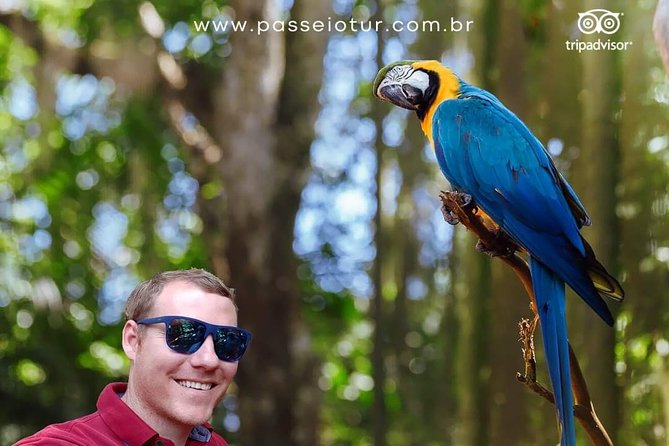 Private transport with guide to Brazil Falls + Bird Park - Why this pairing works so well in Foz do Iguaçu