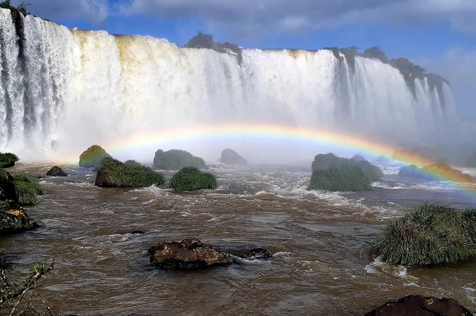 Private transport with guide to Brazil Falls + Bird Park - Meeting the birds at Parque das Aves