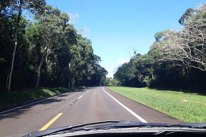 Private transport with guide to Brazil Falls + Bird Park - What to bring and what to plan for