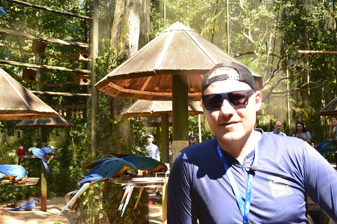 Private transport with guide to Brazil Falls + Bird Park - Walking the 1,500-meter trail at Brazil Falls