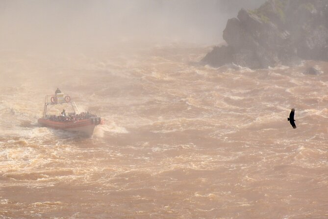 Private transport with guide to the Falls on the Argentinean side. - Your private pickup in Foz do Iguaçu