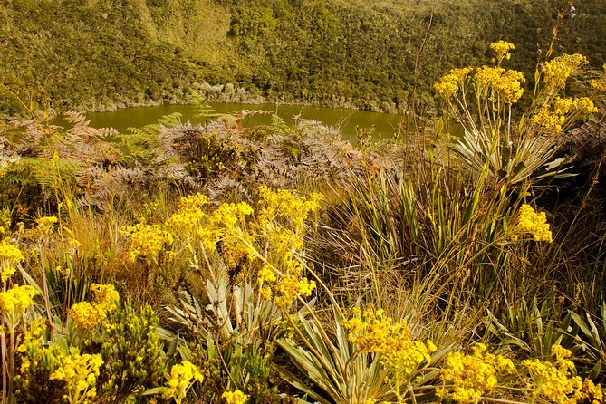 Private Zipaquira Salt Cathedral and Guatavita Lagoon Tour from Bogota - Is $368 per person a fair price?