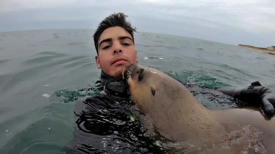 Puerto Madryn: Snorkeling Trip with Sea Lions - Timing, weather, and the fine print that matters