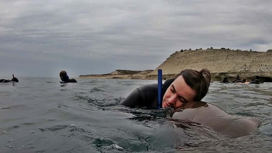 Puerto Madryn: Snorkeling Trip with Sea Lions - Water temperature, equipment, and comfort