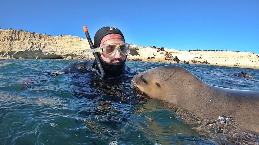 Puerto Madryn: Snorkeling Trip with Sea Lions - Is $150 a fair price?