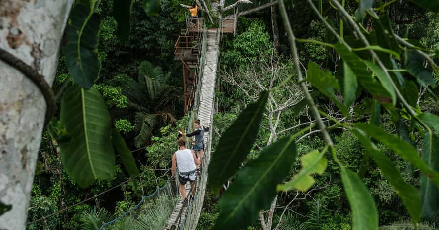 Puerto Maldonado: 2-Day Peruvian Tambopata Jungle Trip - Key points to know before you book