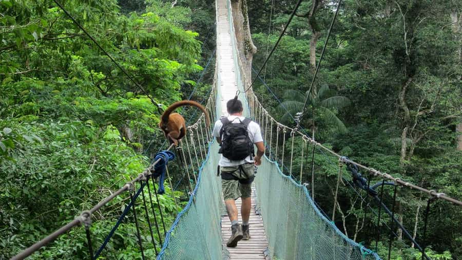 Puerto Maldonado: 2-Day Peruvian Tambopata Jungle Trip - A night cruise on the Madre de Dios River
