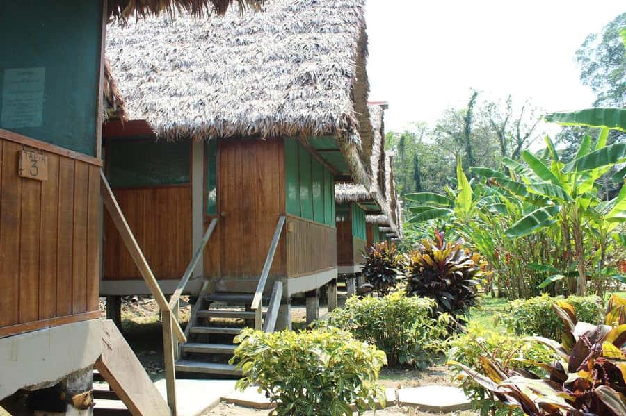 Puerto Maldonado: 2-Day Peruvian Tambopata Jungle Trip - Canoeing among Sandoval Lake wildlife