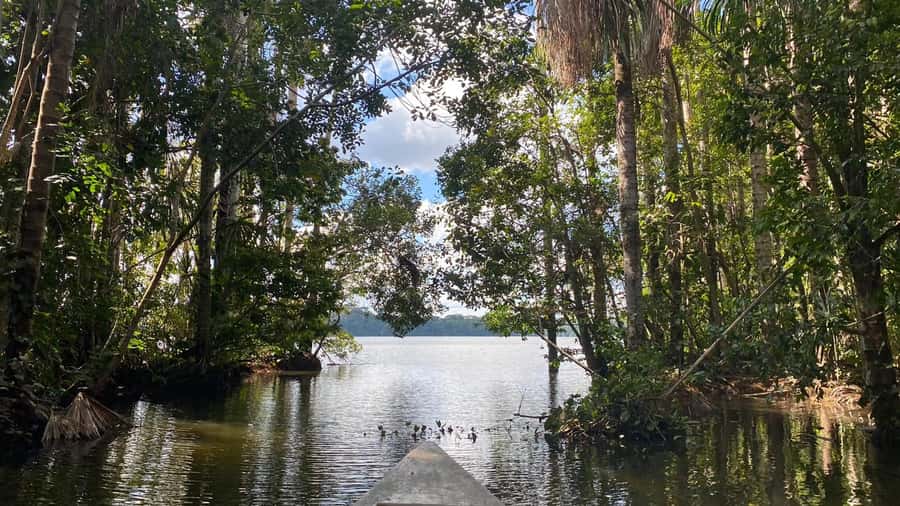 Puerto Maldonado: Sandoval Lake 4-Day, 3-Night Guided Tour - Why Sandoval Lake is the main event