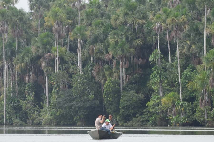 Puerto Maldonado: Sandoval Lake Full-Day Trip with Canoeing - Canoeing across Sandoval Lake