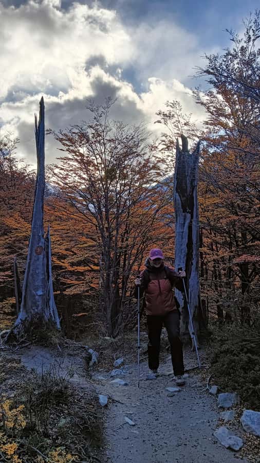 Puerto Natales: Base of the Towers Trekking Experience - What the guides add to the day