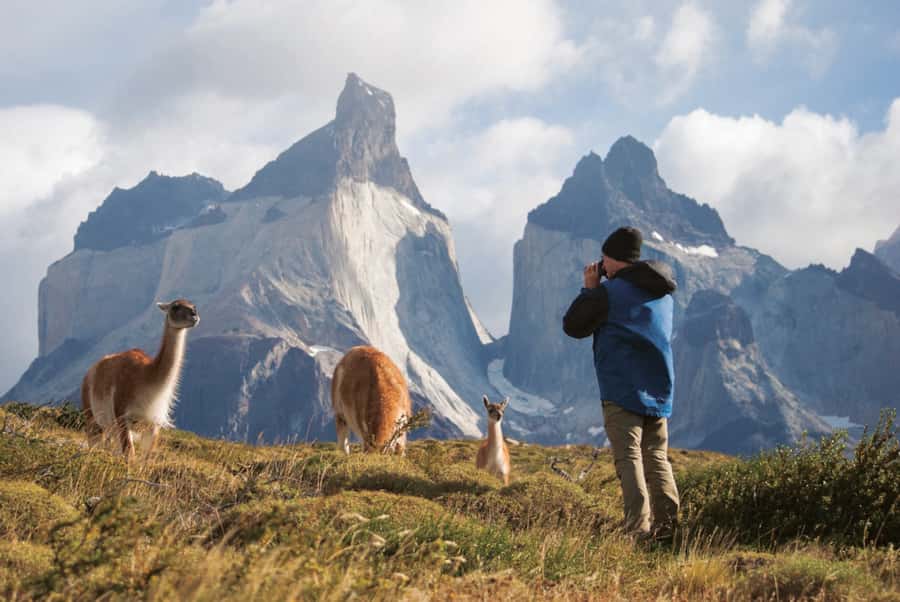Puerto Natales: Full Day Torres del Paine + Milodon Cave - A full day from Puerto Natales to Patagonia’s famous peaks
