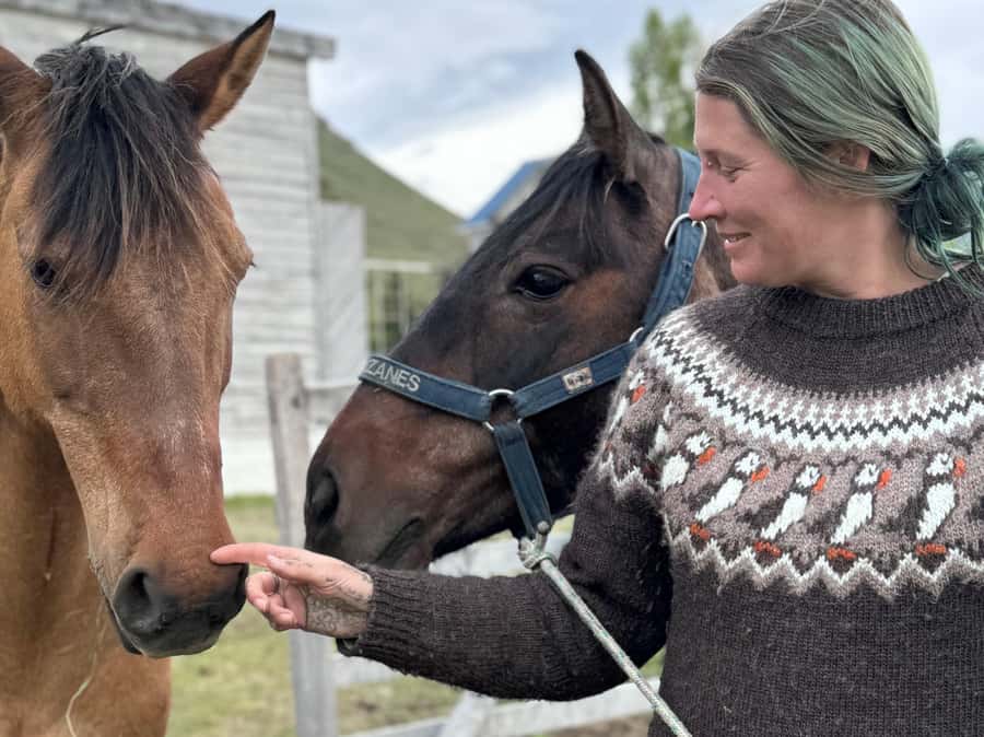 Puerto Natales: Horseback Riding with Horse Connection - Key points to know before you book