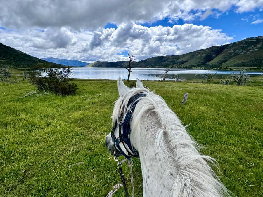 Puerto Natales: Horseback Riding with Horse Connection - Who should book this experience