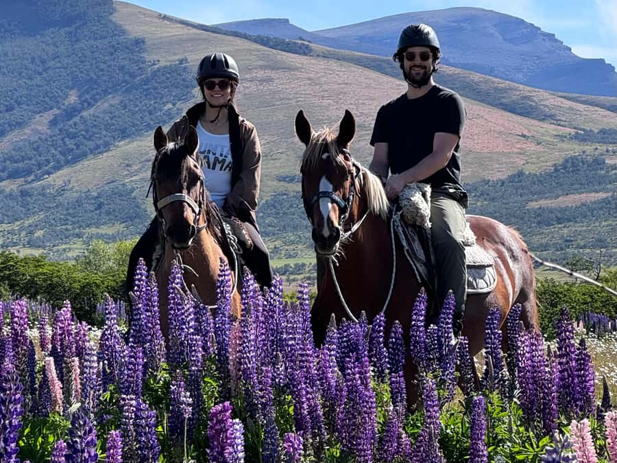 Puerto Natales: Horseback Riding with Horse Connection - This is horsemanship first, trail riding second