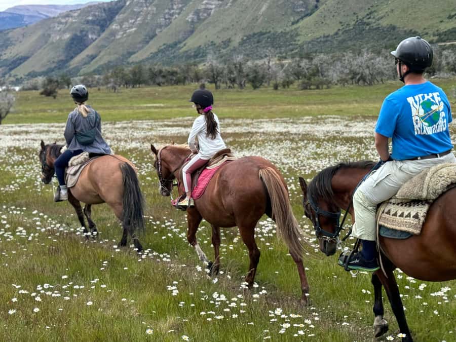 Puerto Natales: Horseback Riding with Horse Connection - Choosing English, huaso, or gaucho tack