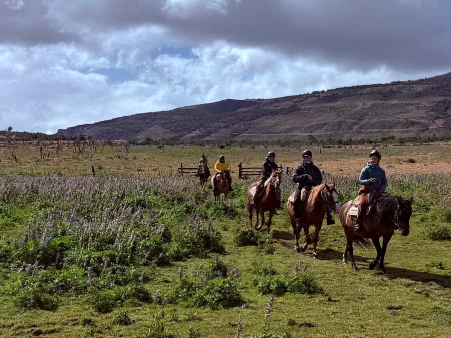 Puerto Natales: Horseback Riding with Horse Connection - Riding north toward Lake Figueroa