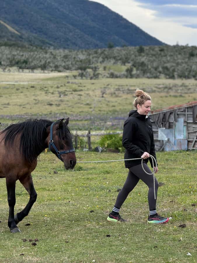 Puerto Natales: Horseback Riding with Horse Connection - The full-day option is a serious ride