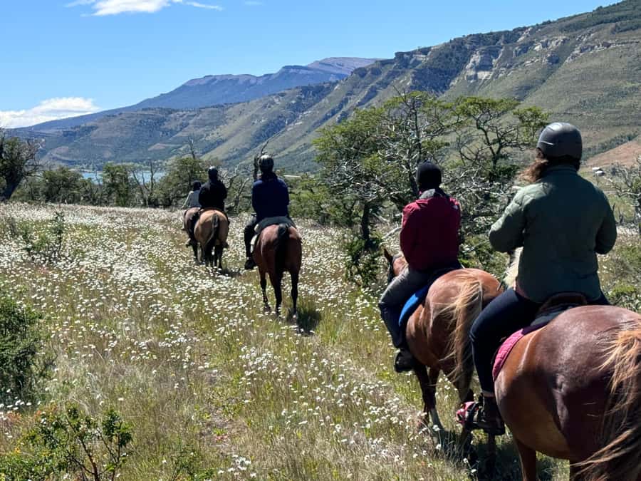 Puerto Natales: Horseback Riding with Horse Connection - Tea after the ride