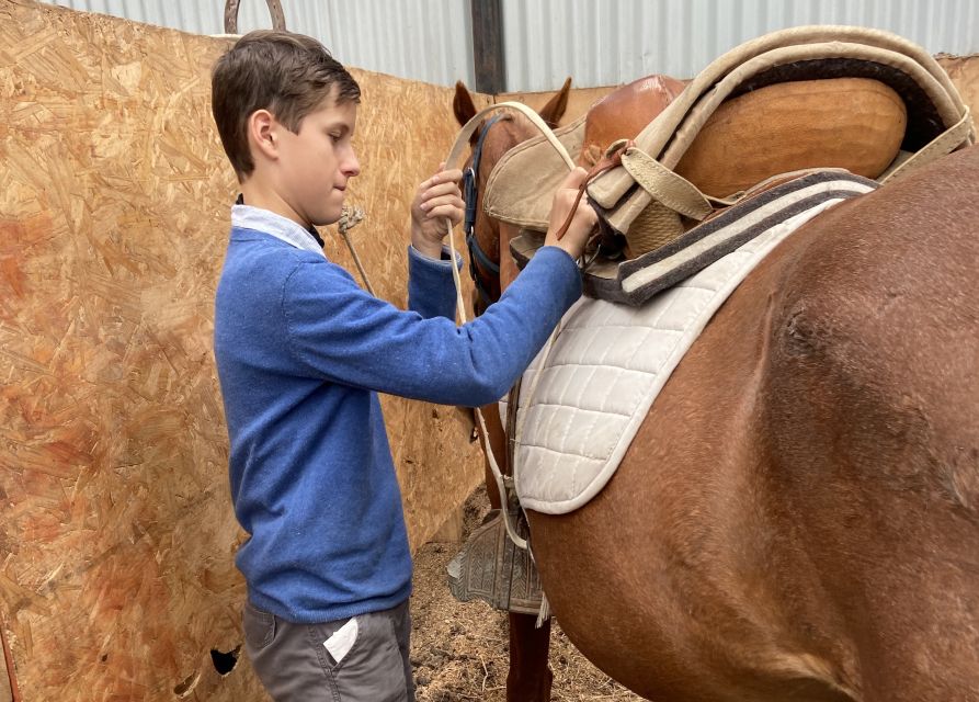 Puerto Natales: Horseback Riding with Horse Connection - What the $150 price includes