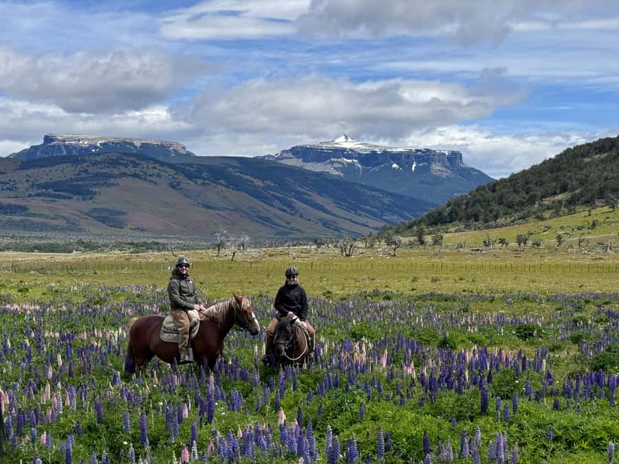 Puerto Natales: Horseback Riding with Horse Connection - Hotel Posada 3 Pasos: a useful starting point