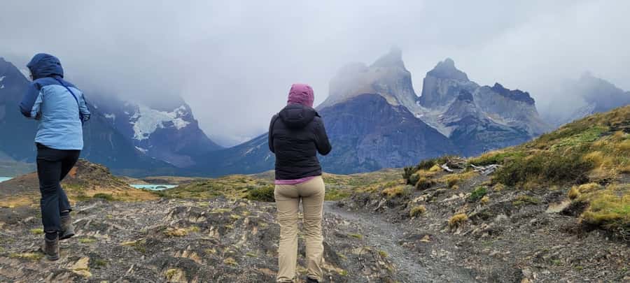 Puerto Natales: Torres del Paine Full Day Tour - Nordenskjöld Lake and the Park Viewpoints