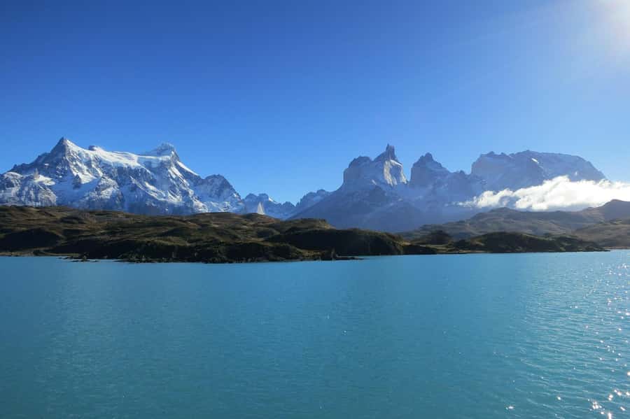Puerto Natales: Torres del Paine Full Day Tour - Gray Lake, Icebergs, and the Lenga Forest
