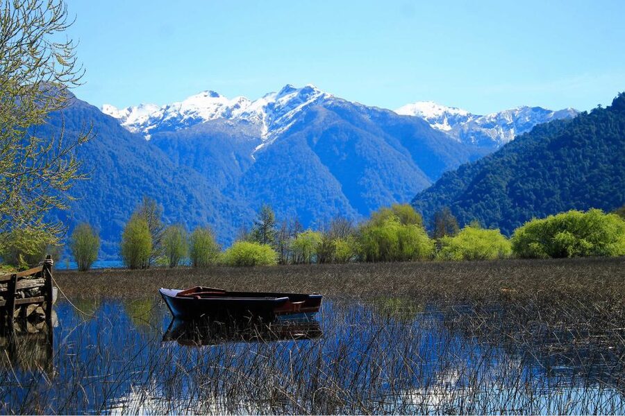 Puerto Varas: Peulla Day Trip - Who will enjoy this tour most