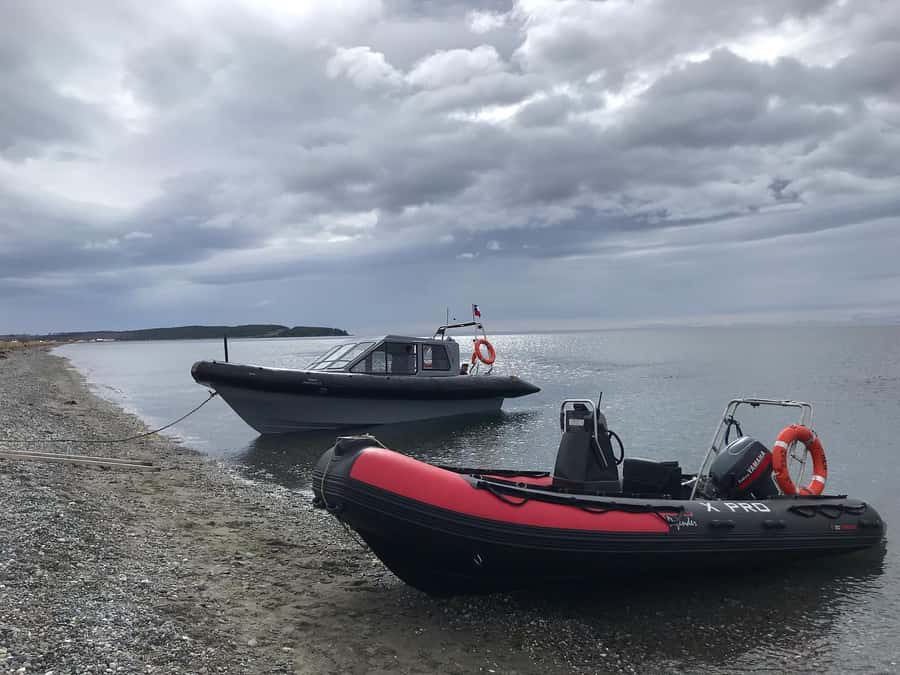 Punta Arenas: Dolphin & Wildlife Watching - Agua Fresca Bay and the boat launch